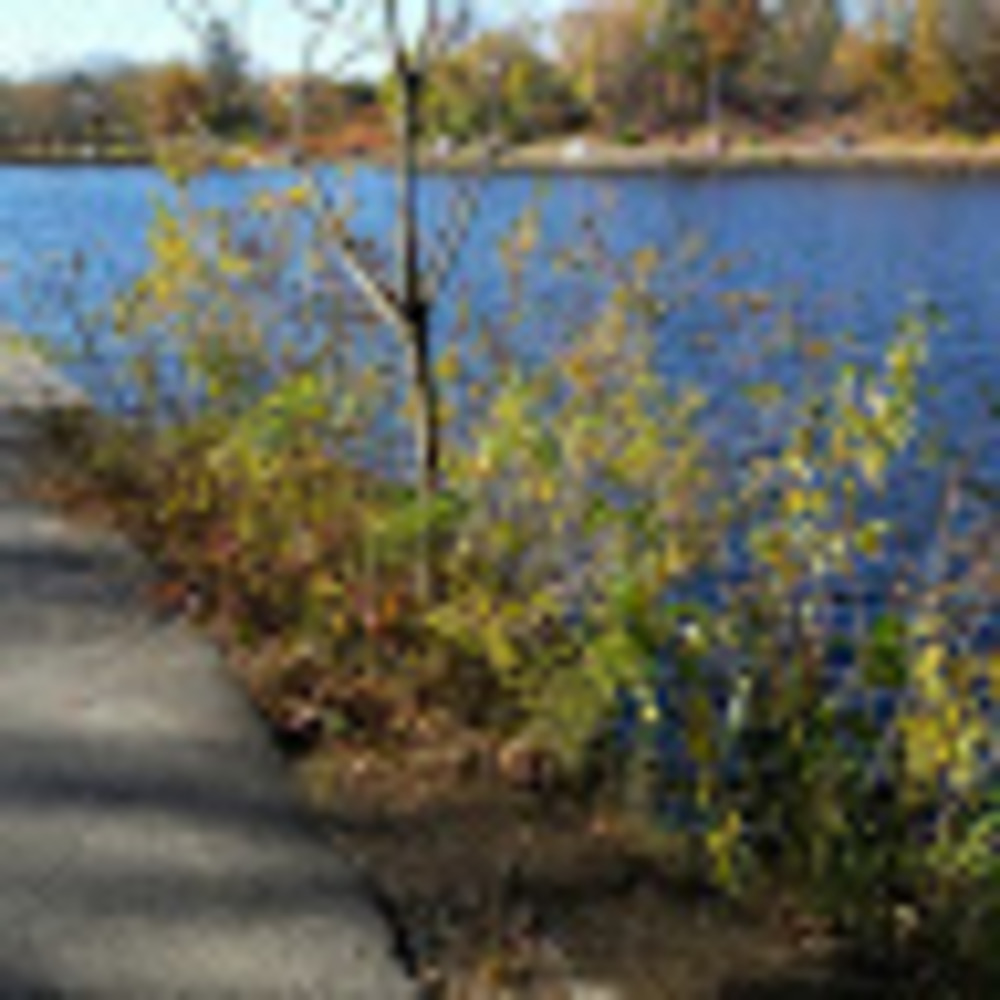 Meet your Posher, Kadeen